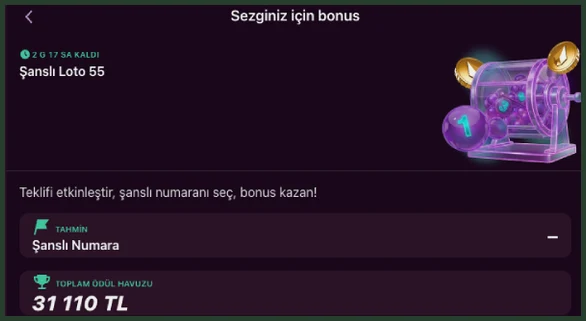 Şanslı Loto sayfası Sezginiz için sayfasında Şanslı Loto 55, '2 G 17 SA KALDI' sayacı, Şanslı Numara tahmin alanı ve 31 110 TL toplam ödül havuzu var